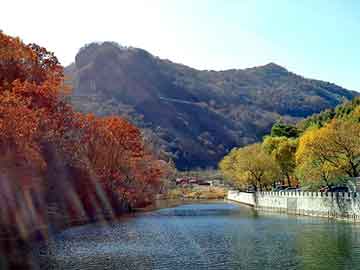 澳门天天免费精准大全，山东周村电热锅